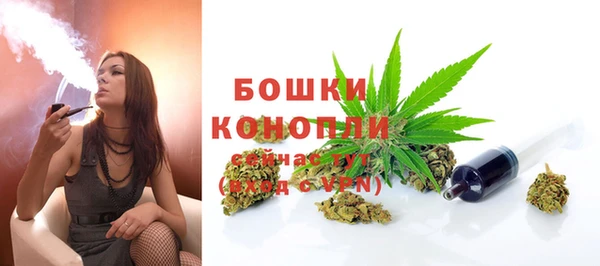 дмт Белокуриха