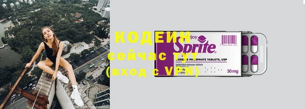 шишки Белоозёрский