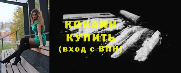 дмт Белокуриха