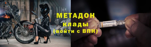 шишки Белоозёрский
