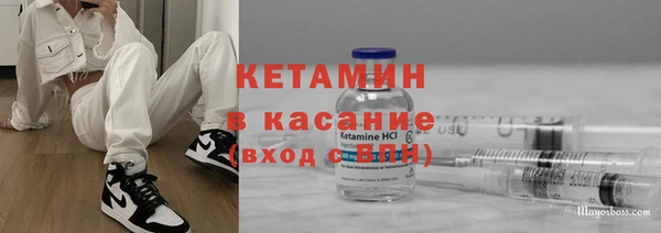 шишки Белоозёрский