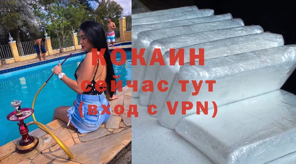 шишки Белоозёрский