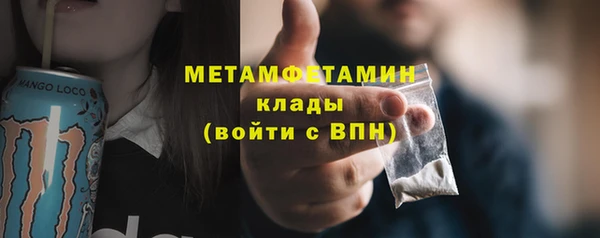 шишки Белоозёрский