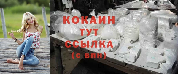 дмт Белокуриха