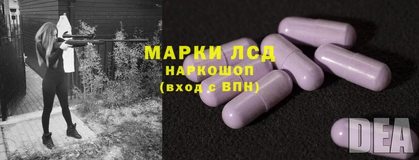 шишки Белоозёрский