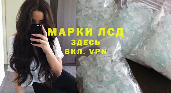 шишки Белоозёрский
