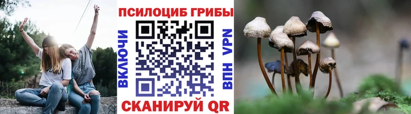 Псилоцибиновые грибы GOLDEN TEACHER  Бокситогорск 